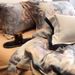 Malochi Ultra Soft Warm Thermal Ice Cream Ultra-fine Denier Tencel Brushed Four-piece Set Naked Sleep Duvet Cover Oil Painting Sty_maomaolike.com