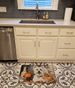 Westie Fall Kitchen Pumpkins Memory Foam Kitchen Mat Machine Washable Anti-Fatigue Mat Cushion Comfort Bath Mat Or Kitchen Rug_maomaolike.com