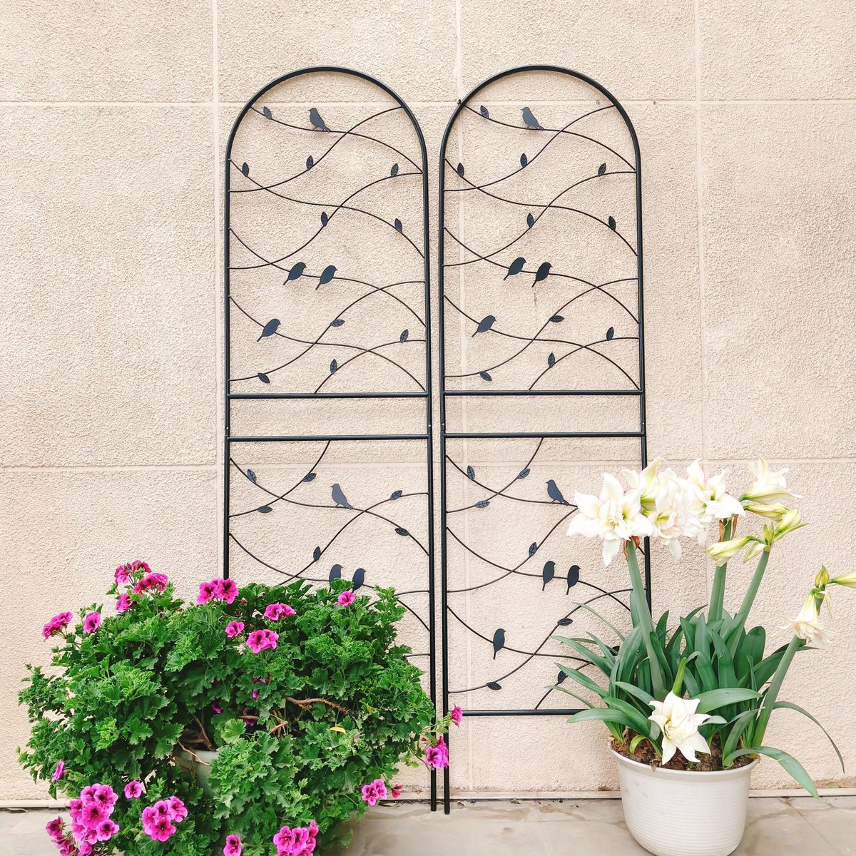 2 Pack Metal Garden Trellis 71" X 19.7" Rustproof Trellis For Climbing Plants Outdoor Flower Support Bird Deco Black_maomaolike.com