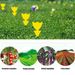 10-100Pcs Strong Yellow Dual-Sided Sticky Fly Traps Bugs Pest Outdoor Plant Insect Catcher Sticker_maomaolike.com