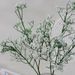 Artificial Gypsophila, 3-branch Snow-white Foam Gypsophila, Wedding Decoration Bouquet, Plastic Artificial Flowers,_maomaolike.com