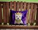 Westie King Of Mardi Gras Throw Pillow Machine Washable, Indoor Outdoor Decorative Pillow For Couch, Bed Or Patio, 14Hx14W_maomaolike.com