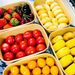 Barbecue, Picnic, Camping, Disposable Lunch Kraft Paper Packaging Sushi Box, Light Food Salad Bowl, Fruit Bento Box_maomaolike.com