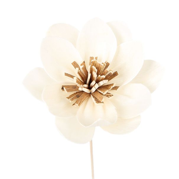 Lotus Aromatherapy Oil Absorbing Fragrance Artificial Peony Home Decor Plant Dried Flower_maomaolike.com