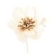 Lotus Aromatherapy Oil Absorbing Fragrance Artificial Peony Home Decor Plant Dried Flower_maomaolike.com