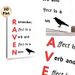 Grammar Reminder Painting Poster, Minimalist Typography With Raven Silhouette Poster, Practical Guide To Distinguish Affect & Effect, Ideal For Study_maomaolike.com