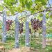 Holographic Bird Deterrent Tape Reflective Scare Ribbon Double Sided Laser Repellent Pest Control Garden Farm Orchard_maomaolike.com