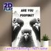 Funny Pigeon Painting Poster, Monochrome Humorous Curious Pigeons Poster, Playful Quirky Design With Witty Text, Ideal For Bathroom And Home Wall_maomaolike.com