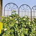 4 Pack Metal Garden Trellis 86.7" X 19.7" Rustproof Trellis For Climbing Plants Outdoor Flower Support Black_maomaolike.com