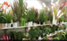 Natural Grass Dried Flowers, Trendy Instagram-style Artificial Green Plants For Floor Display, Mall Window Display_maomaolike.com