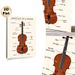 Violin Anatomy Painting Poster, Clear Labeled Educational Illustration Poster, Informative Guide To Violin Components, Ideal For Music Classrooms And_maomaolike.com