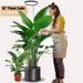 LED Angel Ring Plant Light 6 Inch Full Spectrum Plant Grow Light Indoor Large Pot Plant Fill Light_maomaolike.com