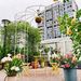 Metal Garden Arch Iron Garden Arbors Gazebo Dia 81.3'' X 114.2'' High Birdcage Shape Pergola Pavilion For Wedding Ceremony Cream White_maomaolike.com
