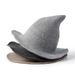 Unisex Halloween Hat Witch Hat Wool Wizard Hat_maomaolike.com