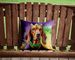 Redbone Coonhound King Of Mardi Gras Throw Pillow Machine Washable, Indoor Outdoor Decorative Pillow For Couch, Bed Or Patio, 14Hx14W_maomaolike.com