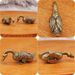 Brass Spirit Duck Premium Home Decoration Gift Animal Tea Pet Small Ornament Antique Bronze Craft Wholesale_maomaolike.com