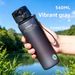 560ML Minimalist Water Bottle Frosted High-End Texture, Lightweight & Leak-Proof, With Portable Lanyard, Ideal For Daily_maomaolike.com