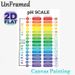 pH Scale Painting Poster, Vibrant Infographic Style Poster, Informative Guide Displaying Acidic & Alkaline Substances With PH Values, Suitable For_maomaolike.com