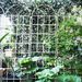 2 Pack Metal Garden Trellis 86.7" X 19.7" Rustproof Trellis For Climbing Plants Outdoor Flower Support Cream White_maomaolike.com