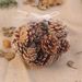 Decoration Pine Cone Acorn Flower Handmade DIY Forest Kindergarten Environmental Creation Dried Branches Wild Creative_maomaolike.com