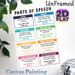 Parts Of Speech Educational Painting Poster, Colorful Structured Grammar Reference Poster, Handy Aid For English Language Learning, Ideal For_maomaolike.com