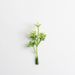 Plants Artificial Flowers Plastic Six-Pronged Christmas Wreath Decoration Small Fruit Accessories Wholesale_maomaolike.com