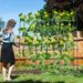 71 X 71 Inch U-Shaped Tall Garden Arched Trellis For Climbing Plants_maomaolike.com