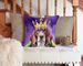 American English Coonhound King Of Mardi Gras Throw Pillow Machine Washable, Indoor Outdoor Decorative Pillow For Couch, Bed Or Patio, 14Hx14W_maomaolike.com