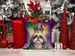 Shih Tzu King Of Mardi Gras Throw Pillow Machine Washable, Indoor Outdoor Decorative Pillow For Couch, Bed Or Patio, 18Hx18W_maomaolike.com