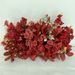 Series Artificial Peony Rose Hotel Path Decoration Plastic Fake Flowers Red Theme Wedding_maomaolike.com