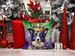 Border Collie King Of Mardi Gras Throw Pillow Machine Washable, Indoor Outdoor Decorative Pillow For Couch, Bed Or Patio, 18Hx18W_maomaolike.com