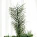 Tall Pencil Artificial Christmas Tree Holiday Décor With Branches, Auto Open, Steel Base, Pine Needles, Green_maomaolike.com