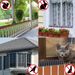 Plastic Anti Bird Spikes Pigeon Deterrent Cat Repellent Pest Control Humane Outdoor Roof Fence Ledge Guard Garden_maomaolike.com