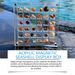 Jue Fish Acrylic Magnetic Shell Display Box Display Decorative Shells Multi-Functional Transparent Box_maomaolike.com