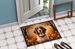 Brittany Spaniel Fall Doormat Front Door Mat Indoor Outdoor Rugs For Entryway, Non Slip Washable Low Pile, 24H X 36W_maomaolike.com