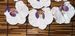 Artificial Flowers European-style Ruffled Edge Phalaenopsis DIY Shoe Flower, Hat Flower Accessories, Hairpin Decoration,_maomaolike.com