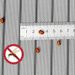 Summer Anti-mosquito Door Curtain Magnetic Bug Yarn Shade Curtain Self-adhesive Non-perforated Breathable Non-curtain Hallway_maomaolike.com