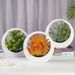 Factory Direct Cross-Border High-End Green Plants Plastic Fake Artificial Creative Luminous Bonsai Desktop Ornaments_maomaolike.com