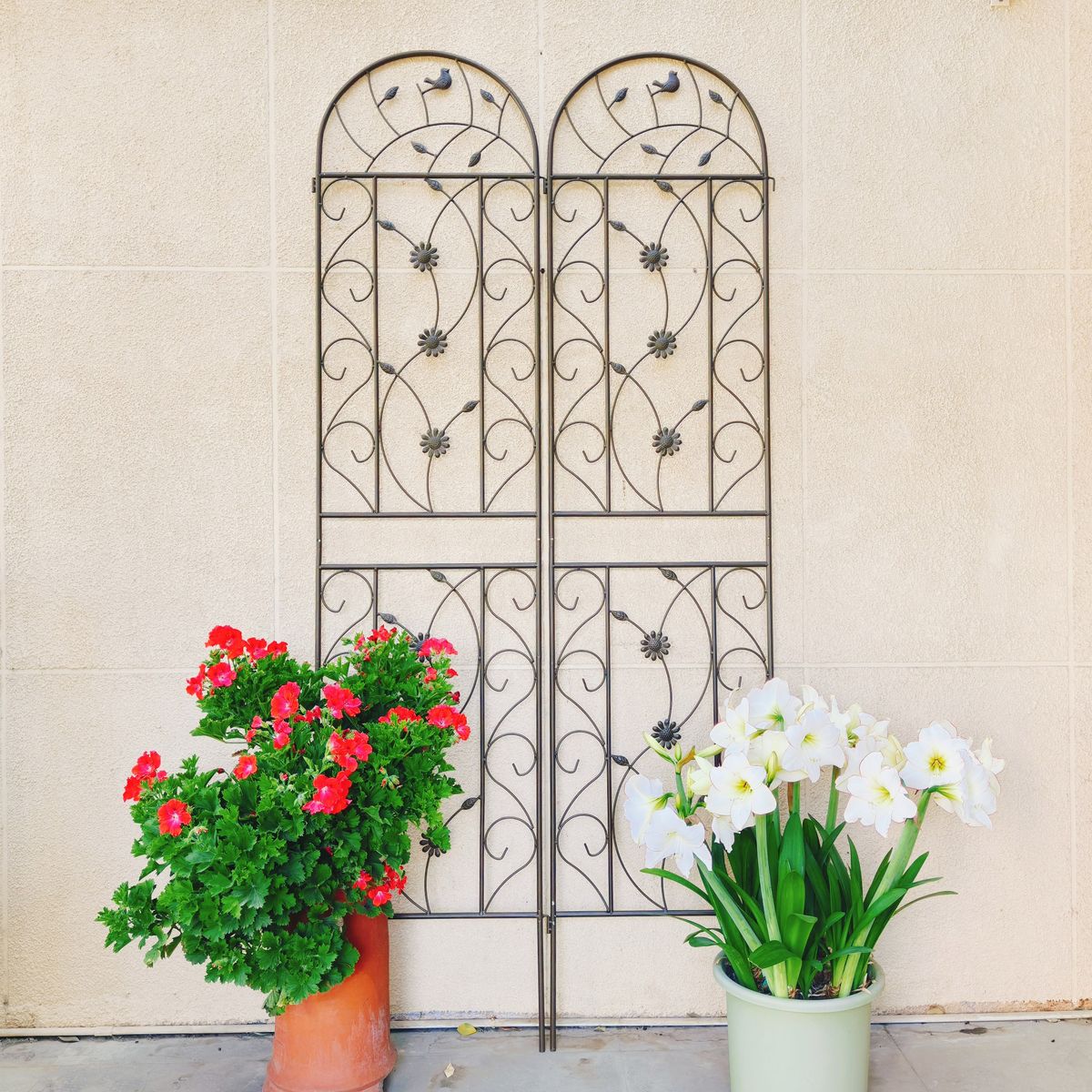 2 Pack Metal Garden Trellis 86.7" X 19.7" Rustproof Trellis For Climbing Plants Outdoor Flower Support Brown_maomaolike.com