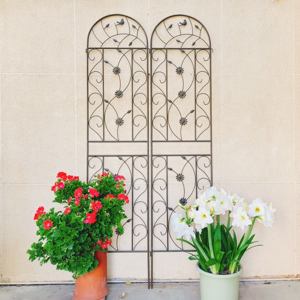 2 Pack Metal Garden Trellis 86.7" X 19.7" Rustproof Trellis For Climbing Plants Outdoor Flower Support Brown_maomaolike.com