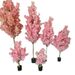 Festive Blossom Landscape Decoration New Year Artificial Red Envelope Tree Display Window Fake Cherry Blossoms_maomaolike.com