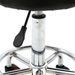 Round Shape Adjustable Salon Stool With Back And Line Black XH_maomaolike.com