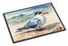 Tern Resting Doormat Front Door Mat Indoor Outdoor Rugs For Entryway, Non Slip Washable Low Pile, 24H X 36W_maomaolike.com