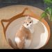 Nest Four Seasons Universal Handmade Vine Sleeping Mat Cat Scratching Board Production Summer Removable Washable Straw_maomaolike.com