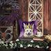 White German Shepherd King Of Mardi Gras Throw Pillow Machine Washable, Indoor Outdoor Decorative Pillow For Couch, Bed Or Patio, 14Hx14W_maomaolike.com