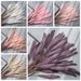 Reed Pampas Artificial Flowers Fake Flowers And Green Plants Wholesale Wedding Cross-border Decorations MW85502_maomaolike.com