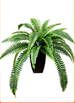 Touch Green Pointed Tail Large Fern Fake Flower Persian Leaf Artificial Home Decoration Grass Potted Plant_maomaolike.com
