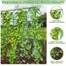120*160cm, Outdoor Garden Arched Plant Climbing Frame With Climbing Vine Net, Cucumber, Pumpkin, Fruit And Vegetable Rack_maomaolike.com