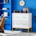 2-Drawer File Cabinet, Lateral Storage Cabinet Printer StandW_maomaolike.com