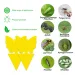 10-30PCS Yellow Non-Toxic Double-sided Sticky Traps Fly Paper Insect Glue Pest Control Catcher Flower Pot Gardening_maomaolike.com